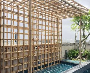 Caña de bambú de tamaño personalizado para plantas de Jardinería y Construcción - Product Image 4