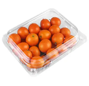 plastic packaging fruit containers suppliers fruit and vegetable storage container food tray