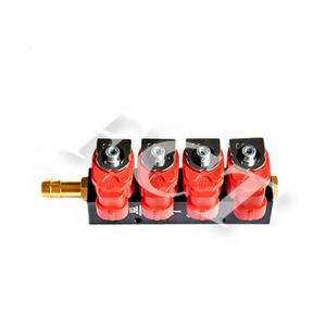 Hot Sale CNG LPG 2ohm Digital Fuel <strong>Injection</strong> lpg <strong>Common</strong> Injector <strong>Rail</strong> 4Cyl Gas Injector <strong>Rail</strong> - Product Image 2