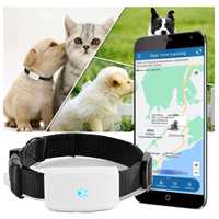 Traceur de véhicule TKSTAR TK911 Traceur GPS pour chien Localisateur anti-perte pour animaux de compagnie Étanche Prend en charge le WIFI APP PC SMS Plateforme de suivi gratuite
