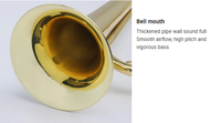 Youth Brass Trumpet High Quality Brass Material Musical Instrument Charge Trumpet Factory Direct Ready Stock