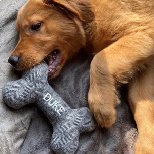 Kişiselleştirilmiş kemik köpek oyuncak Pet Bite dayanıklı yumuşak pamuk peluş köpek oyuncak dayanıklı Pet çiğnemek oyuncaklar işlemeli adı ile - Product Image 4