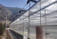 Serre en polycarbonate Venlo de haute qualité - Serre commerciale multi-voûtes avec système de contrôle climatique et culture hydroponique