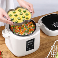 Mini-cuiseur électrique multifonction intelligent antiadhésif 2L - Marmite portable pour soupe et ragoût avec fonction maintien au chaud