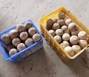 Pierre Naturelle 36 Trous Marbre <span class=keywords><strong>Beige</strong></span> <span class=keywords><strong>Travertin</strong></span> Encensoir Porte Bâton D'encens Arabe <span class=keywords><strong>Clair</strong></span> Brûleur D'encens Arabe 2024 - Product Image 5