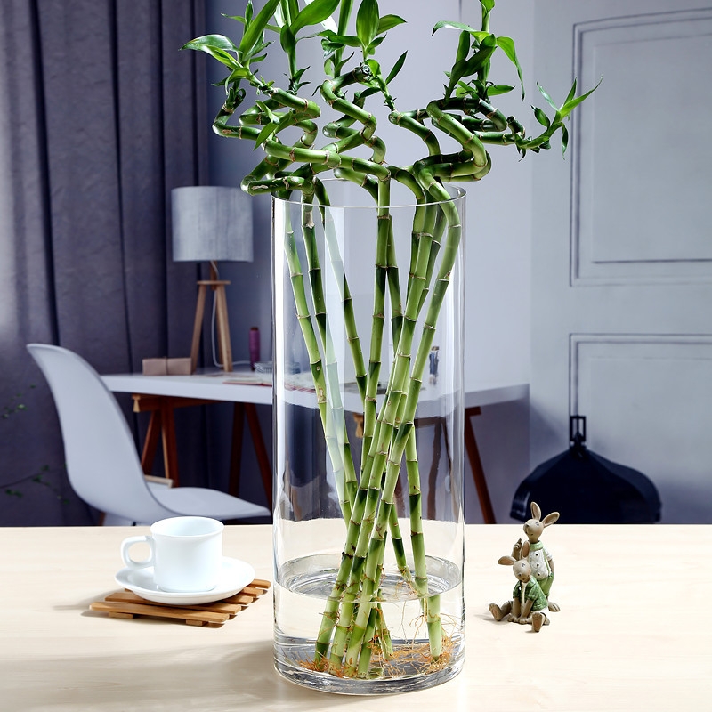 Factory Produced Wholesale Glass Flower Vase for Home Decor