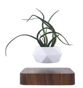 2025 Offre Spéciale cadeaux personnalisés <span class=keywords><strong>Pot</strong></span> <span class=keywords><strong>de</strong></span> <span class=keywords><strong>fleur</strong></span> en lévitation magnétique <span class=keywords><strong>Pot</strong></span> <span class=keywords><strong>de</strong></span> plante flottant pour la décoration <span class=keywords><strong>de</strong></span> la maison - Product Image 5