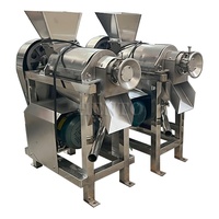 Machine à jus haute productivité / Extracteur de jus de gingembre / Machine d'extraction de jus de fruits