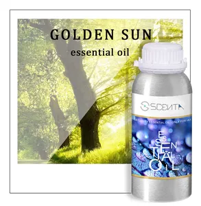 Scenta umidificador de ar profissional, perfume personalizado sem fragrância aquática 100ml aroma do sol dourado fornecedor de óleo essencial