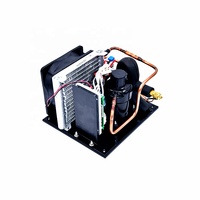 Mini unité de condensation de réfrigération cc 12v pour mini climatiseur
