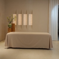 Salon de beauté de qualité supérieure canapé de Massage fonctionnel couverture complète rose confortable drap de jupe de lit de Massage corporel