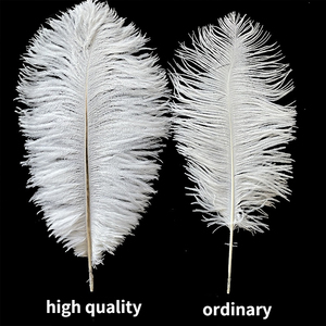 Vente directe d'usine, plumes d'autruche de 15 à 80 cm, plumes blanches pour spectacle sur scène, décoration de mariage DIY - Product Image 4