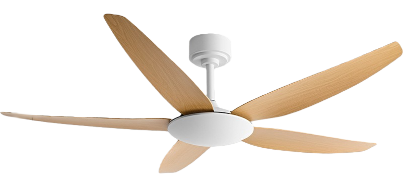 Grano de madera original