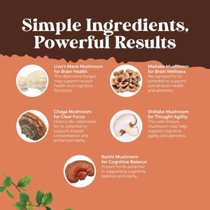 Extra Sterke Paddenstoelencomplex <span class=keywords><strong>Capsules</strong></span> Paddestoelsupplement <span class=keywords><strong>Capsules</strong></span> Met Reishi Chaga <span class=keywords><strong>Cordyceps</strong></span> & Hersenondersteuningssupplement - Product Image 2