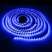 Programable DC12V 24V Ws2818 RGB DIGITAL Tira de luces LED Direccionable Tira de luces de cinta LED