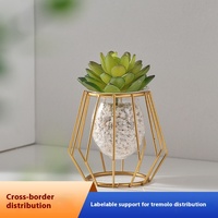 Vase hydroponique de luxe léger doré, écologique, créatif, pour la maison et le bureau, conteneur pour plantes aquatiques, décoration moderne en verre pour table
