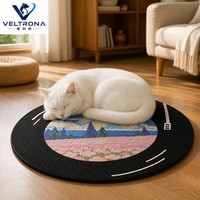Grattoir pour chat rotatif à 360 degrés en forme de disque vinyle avec base tournante pour chats