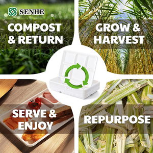 Bandeja de Comida Ecológica, Degradable, 100% Compostable, de 5 Compartimentos, Hecha de Bagazo, Plato de Papel de Caña de Azúcar - Product Image 4
