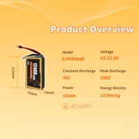 12400mAh 308V 6S 22.8V 100C FPV Yarış Dronları için Yüksek Voltajlı Yüksek Deşarjlı Lityum Polimer Pil OEM/ODM