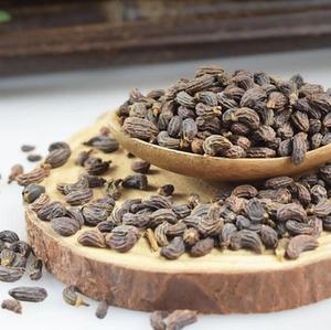 Семена глянцевого плодоносящего плодоподобного дерева (Ligustrum lucidum Ait), сушеные натуральные, порошок из плодов глянцевого плодоносящего плодоносящего дерева - Product Image 3