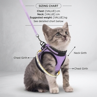 Harnais et laisse de luxe réglables pour chat avec gilet anti-évasion intégré et veste respirante pour chat