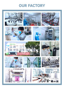 Magnesiumglycine <span class=keywords><strong>capsules</strong></span> verbeteren de botdichtheid en ondersteunen de spierontspanning bij volwassenen - Product Image 5