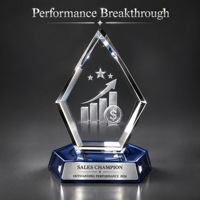 Trophée personnalisé en cristal et diamant Neelpure 199093 pour les performances commerciales, la remise des diplômes, le personnel médical, souvenir commémoratif, cadeau