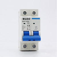 Disjoncteur solaire bipolaire 63A 100A 125A MCB pour batterie 48V, disjoncteur unipolaire CC 250V 500V 1000V MCB
