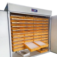 Nouvel incubateur et éclosoir automatique populaire pour œufs, machine à couver les poussins et cailles