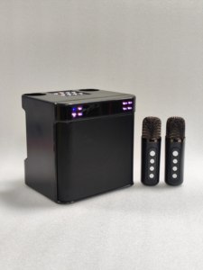 ลำโพงคาราโอเกะบลูทูธแบบพกพา ไมโครโฟนไร้สายคู่ ไฟ RGB รองรับ OEM ODM ขายส่ง - Product Image 2