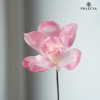 Orchidées Phalaenopsis et Vanda stabilisées haut de gamme, fournitures de bricolage finies, décorations de verdure pour mariages, fleurs décoratives en gros