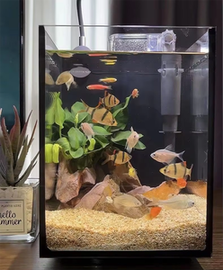 Pierres verticales d'<span class=keywords><strong>aquarium</strong></span> d'aquaculture de luxe moderne grand filtre de réservoir de poissons conception rectangulaire en plastique durable pour la salle à manger - Product Image 6