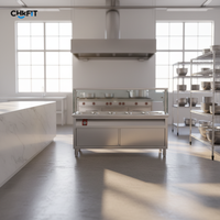 CFT Promotion Chauffe-Plats Électrique Bain-Marie Professionnel pour Restaurants et Fast-Foods, Chauffe-Plats Libre-Service avec Bacs GN