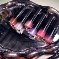 Nouveau Rouge à Lèvres Liquide Vegan 2026 – 16 Couleurs, Finition Nacrée, Hydratant, Gloss pour les Lèvres, Logo Personnalisé