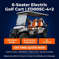 Nuevo Carro de Golf Eléctrico de 6 Plazas, 4+2 Asientos de Lujo, Suspensión MacPherson, Audio, 80-100KM, CE, para Hoteles y Resorts