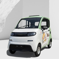 Véhicules électriques à énergie nouvelle, 2 portes, 4 roues, mini-voiture électrique pour adultes, 2 places