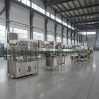 Machine de remplissage et de bouchage entièrement automatique 3-en-1 pour petites usines de production d'eau potable en PET – Prix compétitif