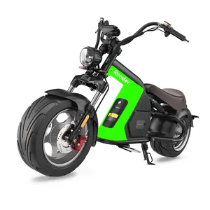 Elektrikli Scooter Rooder koşucu R804-M8 avrupa stok hollanda depo Citycoco Chopper