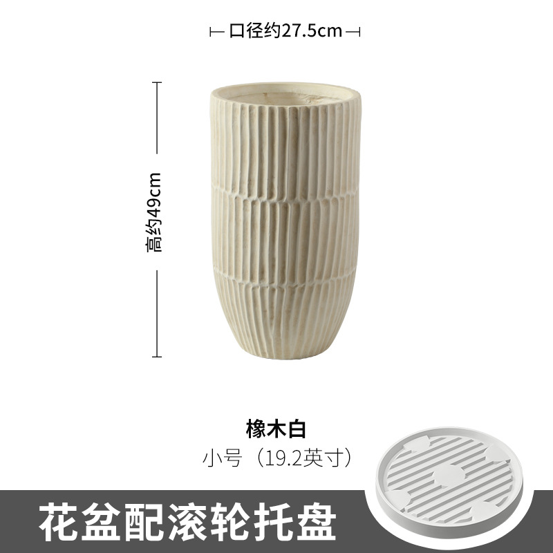 oak white trumpet (with plastic roller tray)