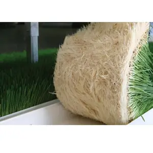 Container hydroponic nursery seedling fodder sprouting machine / hydroponic fodder Room / fresh grass feed growing room