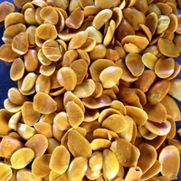 IQF Diepvries Mango Halves HALAL Gecertificeerd Premium Mango Diepvriesvruchten voor Verwerking & Groothandel