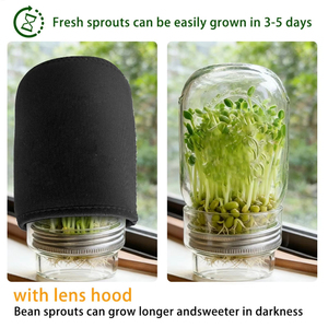 Wholesale Mung Bean Sprouts Growing Jar Kit Reusable Household <b>Kitchen</b> Countertop Windowsill <b>Pantry</b> Shelf Home Apartment Office - Product Image 4