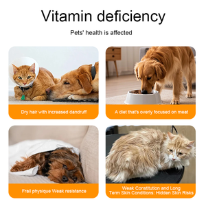 कुत्तों और बिल्लियों के लिए थोक मूल्य निजी लेबल पालतू मल्टीविटामिन टैबलेट-चिकन स्वाद 200 की प्रतिरक्षा त्वचा और संयुक्त समर्थन - Product Image 3