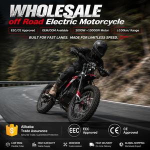 <b>72V</b> 3000-10000W Dirt Bike Cross Country Dirt Bike 80km/h Lithium <b>Battery</b> off Road Motorcycle for Adults - Product Image 1