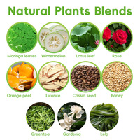 Sachets de tisane amincissante pour perte de poids mélangés à des herbes naturelles Feuille de Moringa séchée Mandarine Peel Cassia Seed Detox Tea