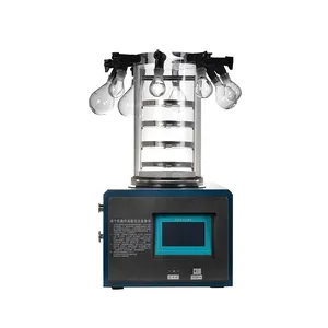 Laboratory tabletop small manifold freeze dryer mini vacuum liofilizador -55 degree