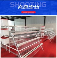 Cage à poules pondeuses de type A, équipement de batterie d'élevage avicole pour poules pondeuses, 3/4 niveaux, dimensions pour ferme