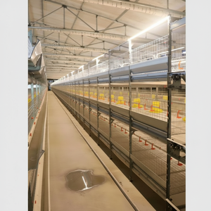 Jaulas para Pollos de Engorde Reforzadas Tipo H de Múltiples Niveles, Nuevas Jaulas Ecológicas con Limpieza de Estiércol por Capas, Anti-Deformación, que Aumentan la Eficiencia de la Cría Diaria - Product Image 1