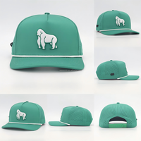 Casquette de baseball OEM 5 pièces en PVC et caoutchouc pour hommes et femmes, casquette de golf personnalisée de haute qualité avec cordon pour sports de plein air