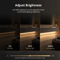 Contrôleur de bande LED Zemismart Tuya Zigbee CCT CW double blanc, variateur d'intensité 12V 24V, compatible avec Alexa, Google Home, Apple Home